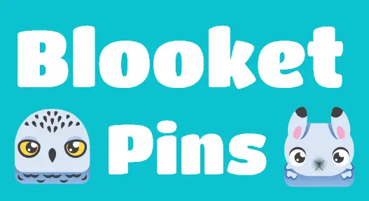 Blooket pin slider image
